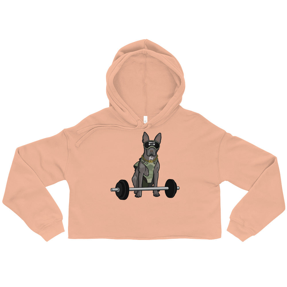 The Spicy ABBY Crop Hoodie